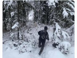 Hati-hati Mata Terkecoh, Ini Foto Fenomena Pareidolia