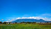 Gunung Kawi: Budaya Ziarah, Wisata Religi, Lokasi Pesugihan