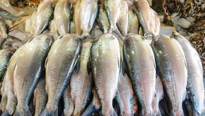 Ikan Bandeng Sajian Wajib Imlek, Ini Makna dan Cara Makannya