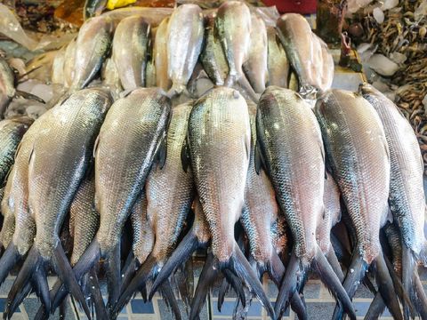 Ikan Bandeng Sajian Wajib Imlek, Ini Makna dan Cara Makannya