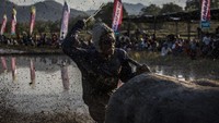 Barapan Kebo dilakukan untuk merayakan dan memberikan hiburan menjelang musim tanam tahunan.  