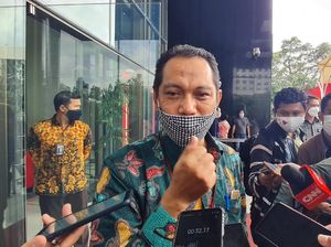 Harta Ghufron Melonjak Sejak Jadi Pimpinan KPK, Eks Jubir Beri Sentilan
