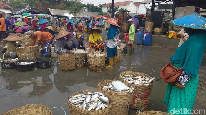 pasokan ikan turun karena banjir lamongan