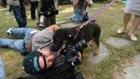 Momen seorang jurnalis foto dengan seekor anjing. Karena itu, menjadi jurnalis bukanlah pekerjaan mudah. Jurnalis adalah pekerjaan besar yang harus ditekuni dengan penuh dedikasi. Getty Images/David McNew  