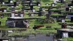 Sejumlah Makam di TPU Tanah Kusir Terendam Banjir