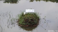 Makam ini menjadi langganan banjir jika musim hujan.