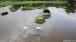 Sejumlah Makam di TPU Tanah Kusir Terendam Banjir
