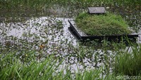 TPU yang terendam banjir ini lokasinya berdekatan dengan Sungai Pesanggrahan.