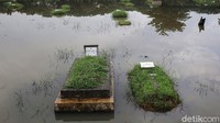 Intensitas hujan yang tinggi membuat sebagian makam di TPU Tanah Kusir ini terendam banjir.