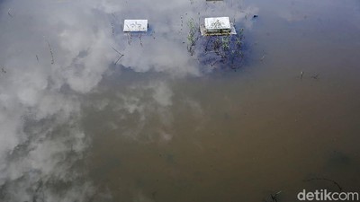 Sejumlah Makam di TPU Tanah Kusir Terendam Banjir