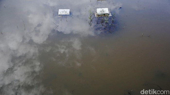 Intensitas hujan yang tinggi sejak beberapa hari terakhir membuat sebagian makam di TPU Tanah Kusir terendam banjir. Begini penampakannya.