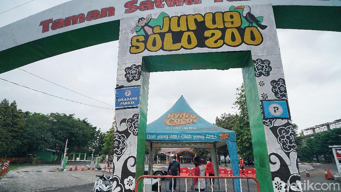 Taman Satwa Taru Jurug Solo buka lagi mulai Selasa (9/2/2021).