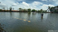 Selain itu landasan bus pun tergenang banjir hingga ketinggian 80 cm. Sedangkan sisi belakang untuk angkutan antar kota juga terendam banjir dengan ketinggian 50 cm.