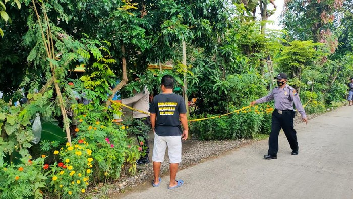 tewas tersengat listrik saat potong pohon