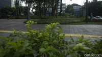 Bagaimana menurut Anda?