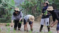 Sompo Environment Foundation terus merangkul lebih banyak generasi muda Indonesia dalam program bernama NGO Learning Internship Program yang sudah berlangsung sejak 2019. Menurut Kementerian LHK, ini merupakan bagian dari usaha perlindungan lingkungan berkelanjutan. Foto: dok. Sompo
