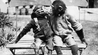Foto yang diambil sekitar tahun 1930-an ini menampilkan dua ekor simpanse yang saling menunjukkan kasih sayang dengan berciuman. General Photographic Agency/Getty Images.