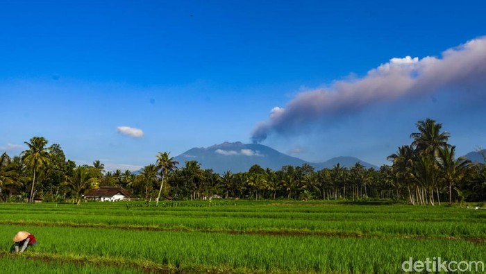 Gunung Raung erupsi hingga saat ini. Pantauan dari Pos Pengamatan Gunung Api (PPGA) Raung, asap dari gunung setinggi 3.332 mdpl itu membumbung hingga 2.000 meter.