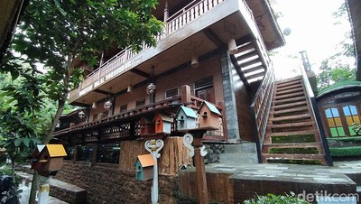 Homestay Borobudur Halal dan Terjangkau, Bisa Buat Backpacker