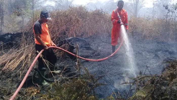 Kebakaran lahan di Agam, Sumbar (dok. Istimewa)