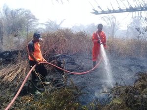 Lahan Gambut di Sumbar Terbakar, BPBD Berjibaku Lakukan Pemadaman