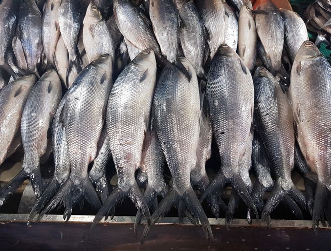 makanan khas imlek yang wajib ada beserta maknanya