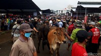 Dikenal sebagai salah satu pasar hewan terbesar di Jawa Tengah, sejumlah warga mengeluhkan lokasi pasar hewan yang baru tersebut karena dirasa kurang luas. 