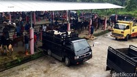 Salah satu pedagang spesialis sapi perah, Nur Hasim (51), mencotohkan, lokasi atau los tempat khusus sapi perah kurang panjang dan kurang lebar. Pasalnya, dirinya membawa dagangan mencapai puluhan ekor.