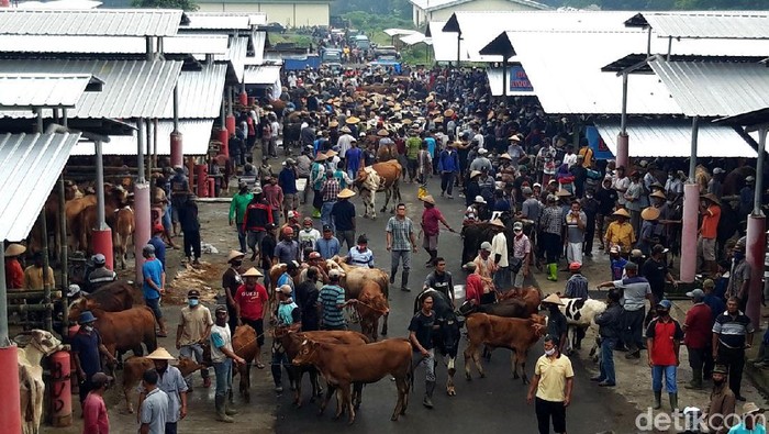 Pasar hewan Sunggingan, Boyolali, dipindahkan ke lokasi baru. Namun sayangnya lokasi baru salah satu pasar hewan terbesar di Jawa Tengah itu dirasa kurang luas.