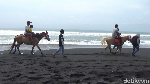 Foto: Bukan Turis Berjemur, Pantai Ini Isinya Malah Orang Berkuda