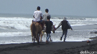 Di Pantai Watu Pecak ini, para pengunjung bisa menikmati pemandangan pantai yang indah dengan pasir hitam, udara yang segar, serta menikmati deburan ombak pantai selatan sambil menunggang kuda. 