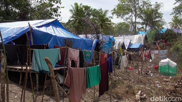 Pengungsian warga korban gempa bumi asal Dusun Aholeang dan Dusun Rui, Desa Mekkatta, Kecamatan Malunda, Kabupaten Majene, Sulbar (abdy/detikcom)
