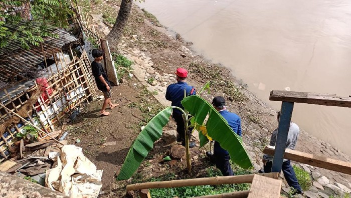 Petugas Masih Cari Ular Besar yang Muncul di Pintu Air Petamburan