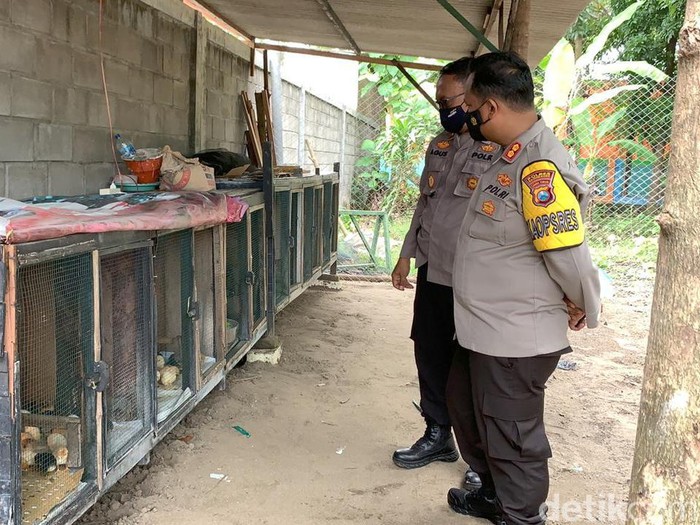 Ada terobosan yang dibuat untuk mewujudkan ketahanan pangan di masa pandemi COVID-19. Polisi di Bojonegoro memanfaatkan lahan kosong di sekitar kantor maupun rumah.