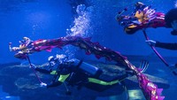 Ocean Park menyelenggarakan penampilan tari naga oleh para penyelam menjelang perayaan Tahun Baru Imlek.