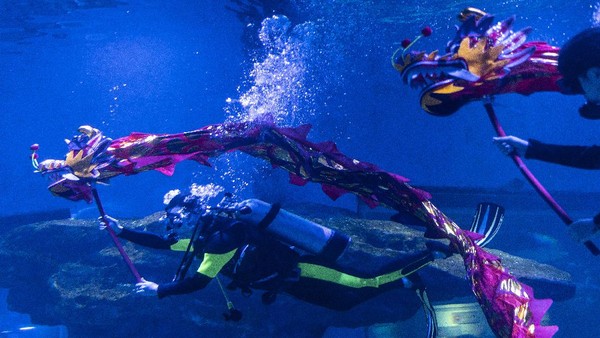 Ocean Park menyelenggarakan penampilan tari naga oleh para penyelam menjelang perayaan Tahun Baru Imlek. Ocean Park menyelenggarakan penampilan tari naga oleh para penyelam menjelang perayaan Tahun Baru Imlek.