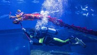 Seorang penyelam memperagakan tarian naga di Ocean Park, Wuhan, Provinsi Hubei, China, Senin (8/2/2021) waktu setempat.