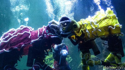 Sambut Imlek, Ancol Gelar Atraksi Barongsai di Dalam Air