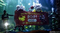 Atraksi barongsai dalam air atau underwater digelar di Sea World Ancol, Rabu (10/2/2021).