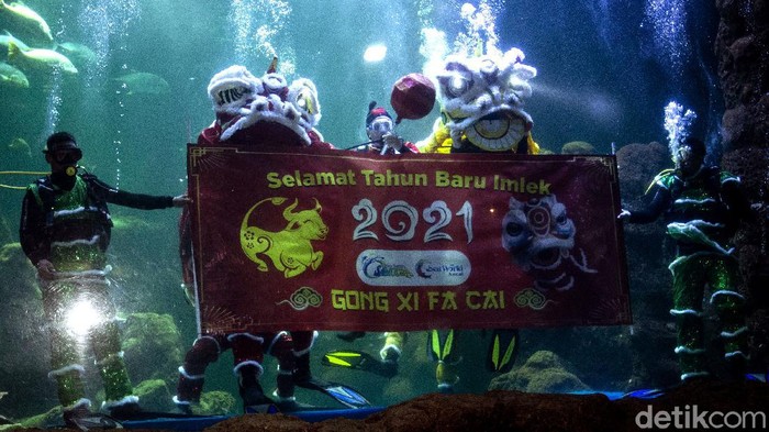 Sambut Imlek, Ada Atraksi Barongsai dalam Air di Ancol Atraksi barongsai dalam air atau underwater digelar di kawasan Ancol, Jakarta. Aksi itu diselanggarakan dalam rangka menyambut Tahun Baru Imlek.