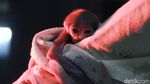 Terancam Punah, Anak Owa Jawa Ini Lahir dengan Selamat