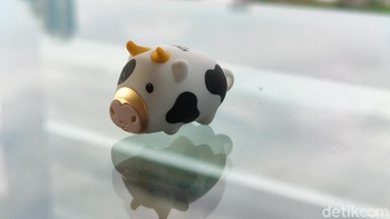 Nah inilah miniatur sapi, bikin gemeskan? Foto: Adi Fida Rahman/detikINET