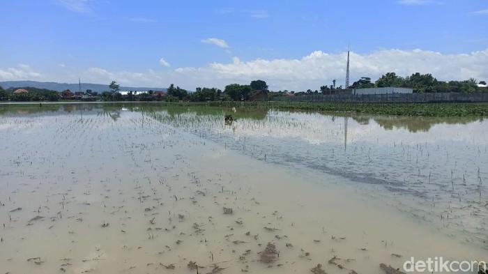 banjir di tulungagung