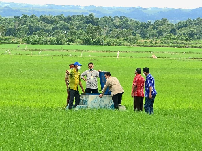 Food Estate Sumba Tengah