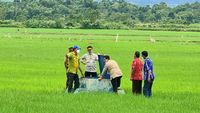 Food Estate Ada Di Sumba Tengah, Petani Hemat Waktu Tanam Jadi 2 Jam