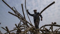Tebu merupakan masukan yang sangat penting untuk pembuatan gula. Ketika produksi tebu meningkat maka produksi gula juga meningkat.   