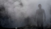 Perkebunan di desa Bulandshahr ini merupakan salah satu desa penghasil tebu terbaik di wilayahnya.  