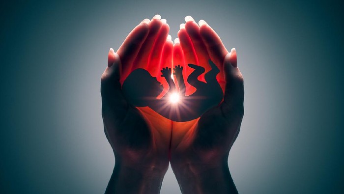 embryo silhouette in woman hand