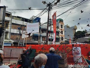 Sambut Tahun Kerbau, Ratusan Burung Pipit Dilepas di Glodok