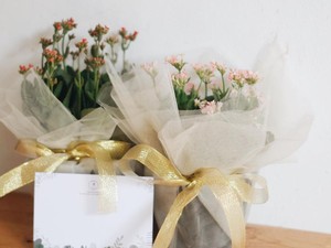 7 Rekomendasi Kado Unik untuk Valentine yang Bisa Bikin Si Dia Terkesan